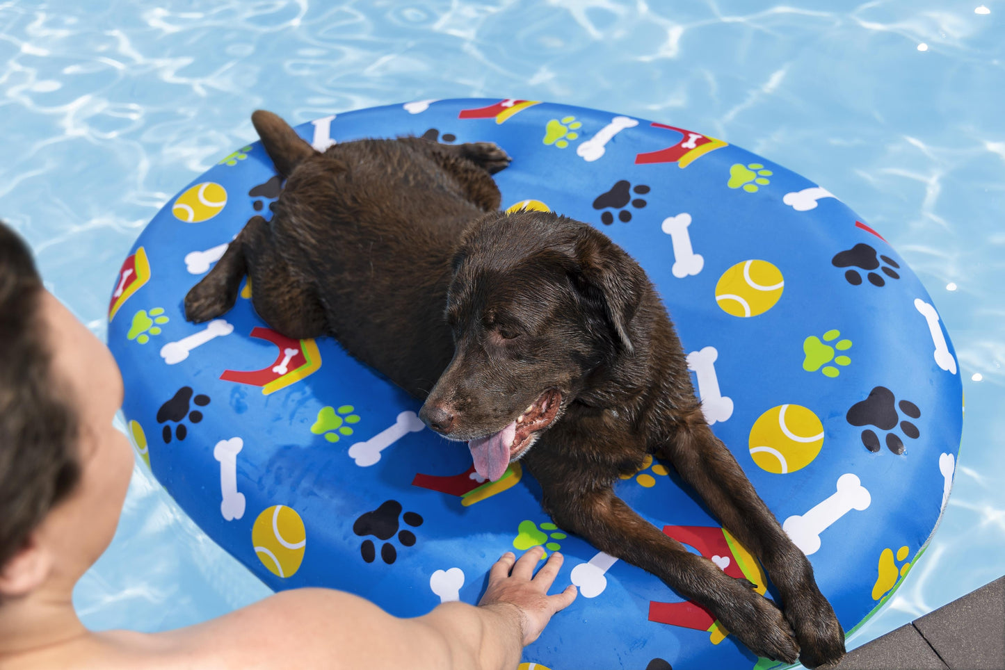 1.56m x 1.12m Fetchin' Fun Pet Pool Float