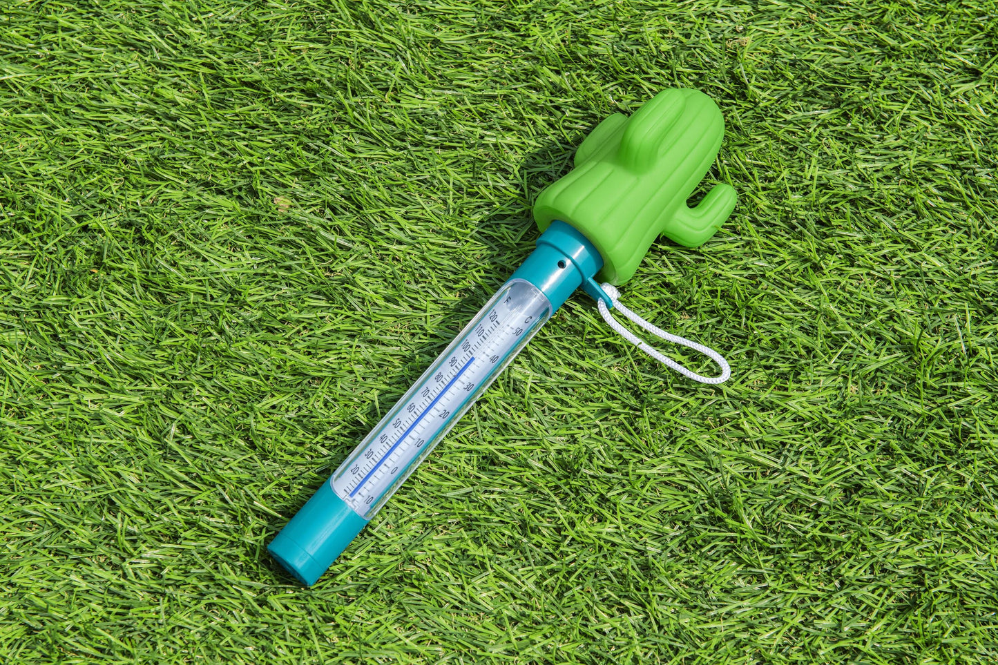 Decorative Floating Pool Thermometer