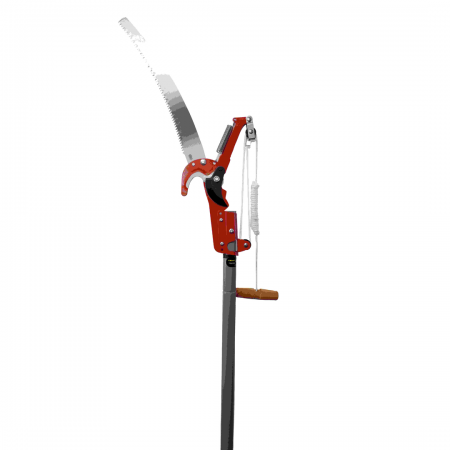 Compound Action Tree Pruner